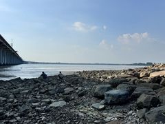 -宝安西湾红树林湿地公园