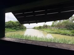 -福田红树林生态公园