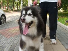 -宠福鑫康馨动物医院·骨科·眼科