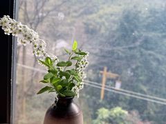 -WILDS 野有食(碧坞店)