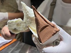-野人先生Gelato(上海长宁龙之梦店)
