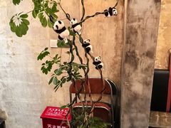 -食陆号·新式台湾创意菜(十全街首店)
