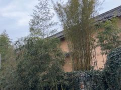-崇阳三特浪口温泉