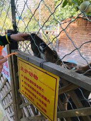 -萌宠亲子动物乐园(槐房万达店)