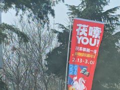 -茯茶镇