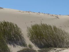 -库伦旗银沙湾旅游景区