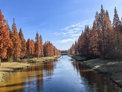 -黄海国家森林公园