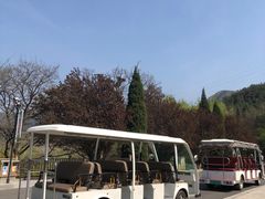 -金龙寺国家森林公园