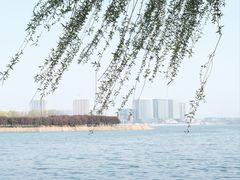 -北龙湖湿地公园