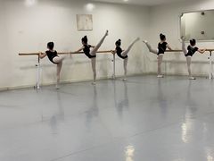 -西安小天鹅艺术团(金花路校区)