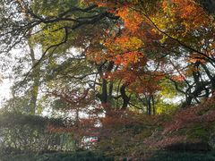 -宁波市保国寺古建筑博物馆