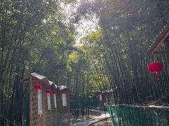 -同里国家湿地公园