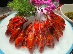 -杨氏青龙虾·羊蝎子(金盛路总店)