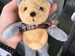 -济州岛泰迪熊博物馆