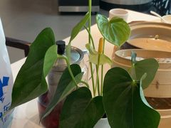 -眉州东坡(华联万柳店)