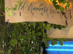 -野草莓自由市场