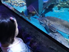 -皇家极地海洋世界-售票处