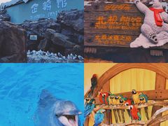 -珠海长隆海洋王国