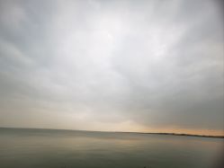 -水八仙生态园