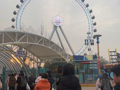 -海合安武汉极地海洋公园