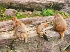 -庐山风景名胜区