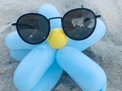 -西涌国际滨海旅游区