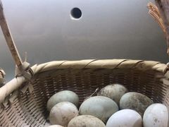 -客宴·江西客家菜(红角洲店)