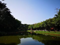 -广州长隆飞鸟乐园