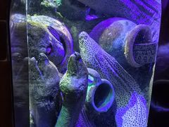 -太平洋海底世界