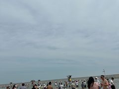 -碧海金沙