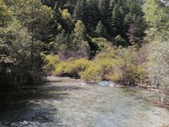 -九寨沟-树正沟