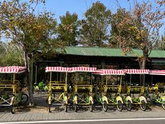 -泗洪洪泽湖湿地景区