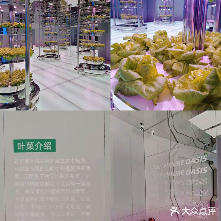 广州花城汇🌶亲子活动科技农场🥬农都里