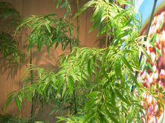 -湘邻呷铺·田园家宴(汉基广场店)