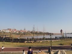 -九龙湖公园