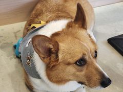 -小意思咖啡店(草桥店)