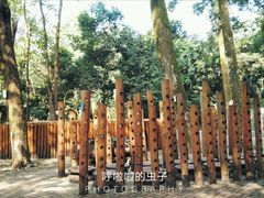 -南宁良凤江国家森林公园