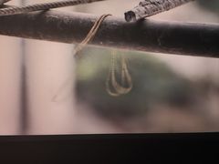 -万达影城(东西湖中心广场XLAND店)