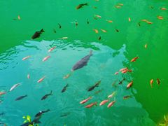 -山西通天峡景区