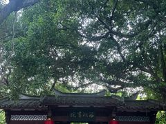 -西湖游船
