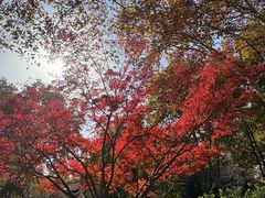 -莹珠阁·私房菜