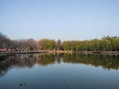 -翠湖公园