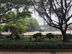 -广东圆玄道观