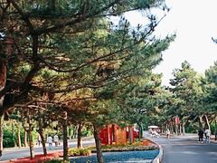 -北陵公园