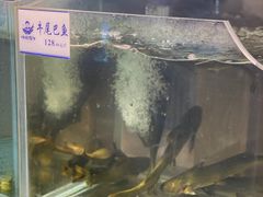 -胖姐渔村(中源大道店)