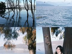 -菌自由丨野生菌火锅特色庭院餐厅(丽江古城店)