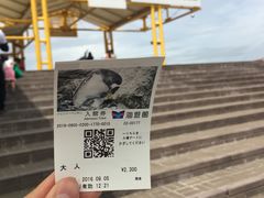 -大阪海游馆