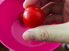 -麦德龙(郑东店)