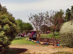 -武汉紫薇都市田园