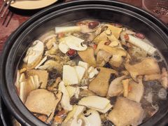 -滇野云南野生菌餐厅(陕西南路店)